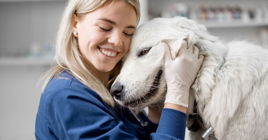 preparare il cane